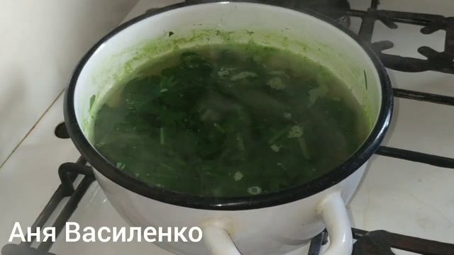 Зелений борщ с шпинатои или щавель