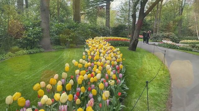 My Visit In Keukenhof Garden