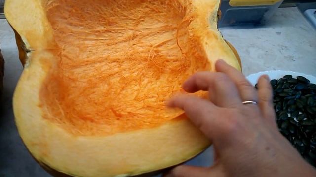 Тыква голосемянная смотреть онлайн