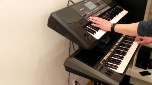 The Hurricanes - Only One Night ( Italo Disco ) cover by angeleyes Korg PA 600