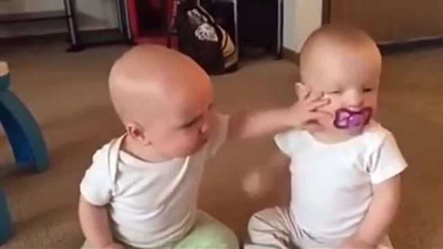 Bebês engraçados brigando por um bico. смотреть онлайн