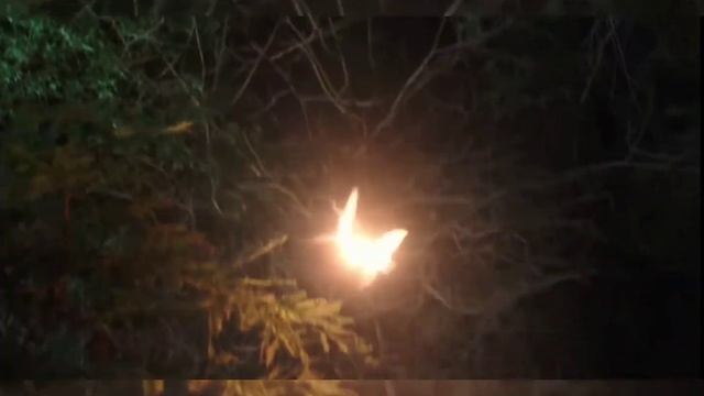 МОЛИТВА чистого сердца❤? смотреть онлайн