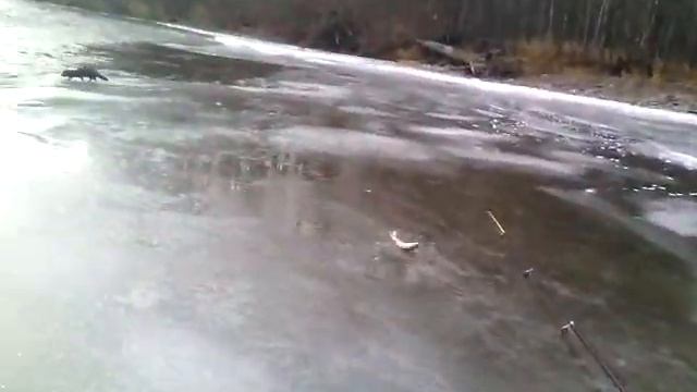 норка смотреть онлайн