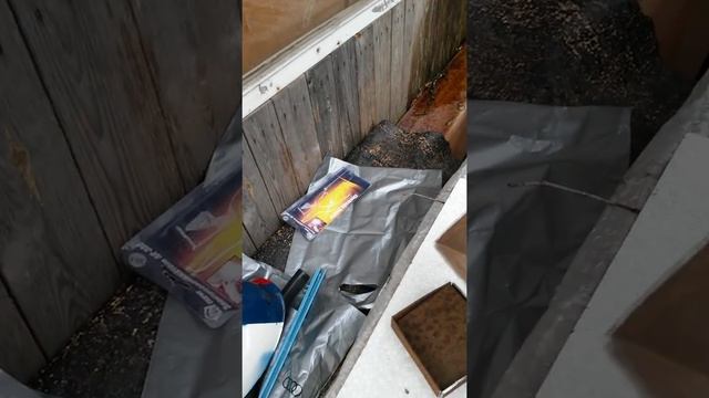 Торус смотреть онлайн