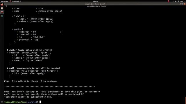 TERRAFORM - 8. Provider Docker : Images & Conteneurs смотреть онлайн