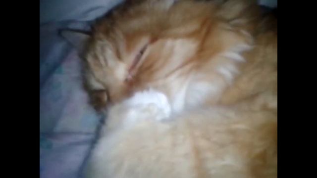 РЫБАЦКАЯ РАЗБОРКА?СМЕШНЫЕ ПРИКОЛЫ ЗА НЕДЕЛЮ /РЖАКА ДО СЛЕЗ смотреть онлайн