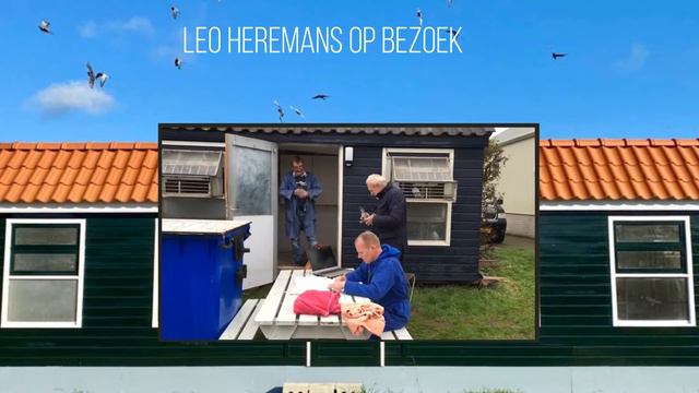 Rutger van Lier Halle - Leo Heremans en Pieter Veenstra duiven смотреть онлайн