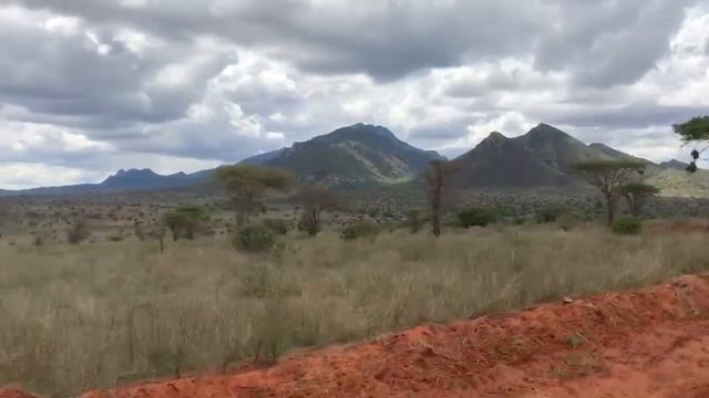 Tsavo West National Park смотреть онлайн