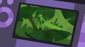 Богомол. Братья Кратт: Зов Природы. Новая серия. Канал Детишки