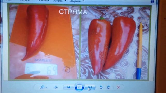 Обзор сортов болгарского перца от коллекционера Ирины Передня на 2017 год смотреть онлайн