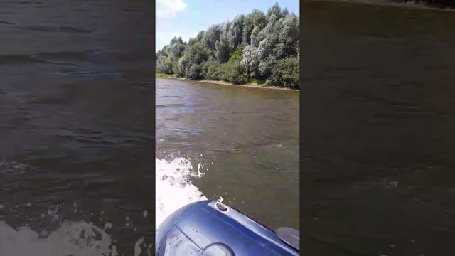 сузуки дт 30 на санмарин 380 смотреть онлайн