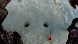 ЛОВИМ КРУПНОГО ЕЛЬЦА НА МОРМЫШКУ. Жадная и непредсказуемая рыба в глухозимье.