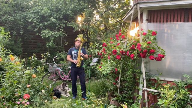 Demis Roussos - Goodbye My Love Goodbye Alto Sax Cover смотреть онлайн