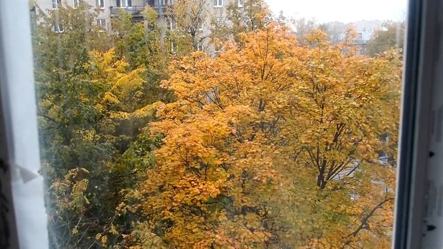 #КУХНЯ #УСТАНОВКА #БЫСТРО #СВОИМИ #МЕЖКОМНАТНАЯ #ПВХ #ПЛАСТИКОВАЯ #ДВЕРЬ #СТЕКЛОПАКЕТ #DED #YTB #RU смотреть онлайн