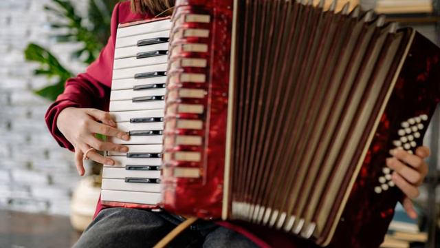 Top 50 Accordion Music Compilation