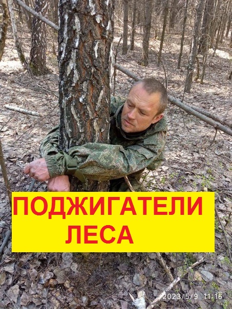 Кто стоит за пожарами в Тюменской области? смотреть онлайн