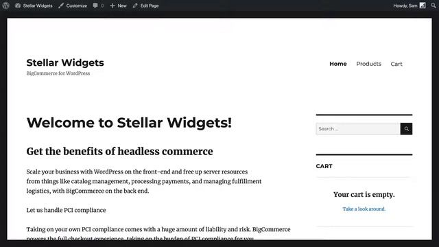 BigCommerce for WordPress Tutorial: Launching a Store смотреть онлайн