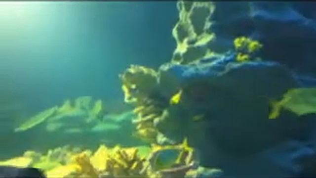 Turkuazoo Aquarium Istanbul смотреть онлайн