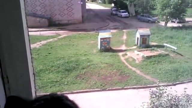 кот съел осу смотреть онлайн