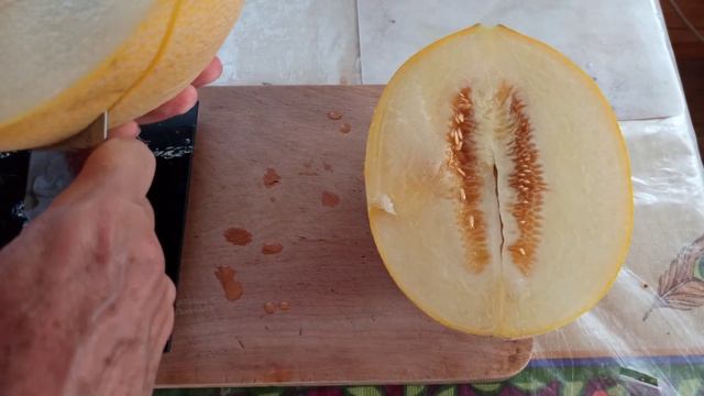 Супер дыня Катерина! Восторгу нет предела! Сортотип Ананас. Созрела 07.08.2022. смотреть онлайн