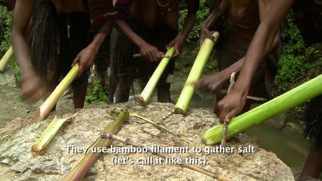 Мертвые птицы долины Балием // 