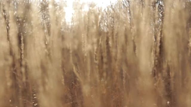Canon EOS 650D + Canon 24-105 f4L Test Video смотреть онлайн