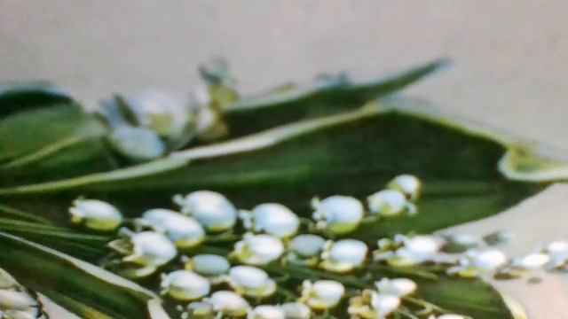 Ю-а-ю-а-ю, видишь ту звезду, встречи на Луне доступны мне. Ю-а-ю-а-ю, я тебе дарю(наброски) смотреть онлайн