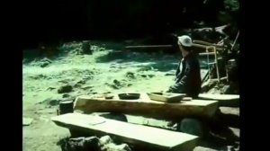 Комедия -"Как грузины грибы проверяли"