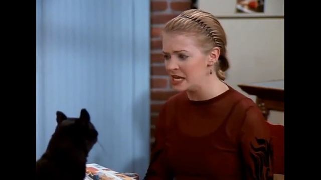 Стадии самообман, ярость и грусть по коту Сэйлему. ( сериал Сабрина - маленькая ведьма) смотреть онлайн