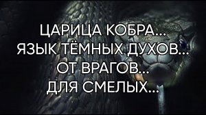 ЦАРИЦА КОБРА....ЯЗЫК ТЁМНЫХ ДУХОВ...ОТ ВРАГОВ...ДЛЯ СМЕЛЫХ...