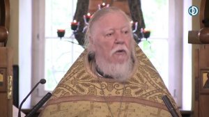 Протоиерей Димитрий Смирнов. Проповедь о настоящей вере