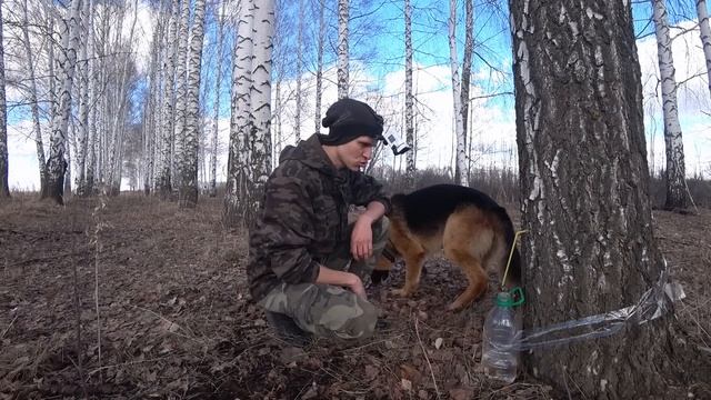 Сок Березовый. Блин Жареный. Весна Ранняя смотреть онлайн