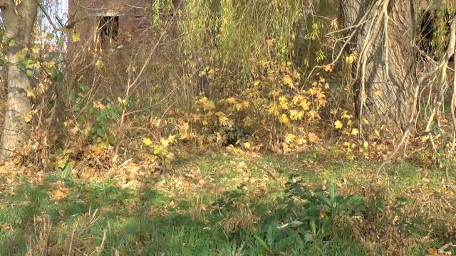 MY SNIPER GEAR // Снаряжение страйкбольного снайпера: оружие, камуфляж, экипировка смотреть онлайн