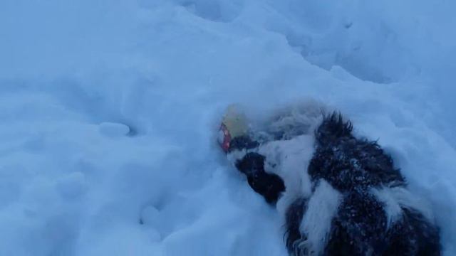 Ramalex Amor 3 HDV_0392.MP4