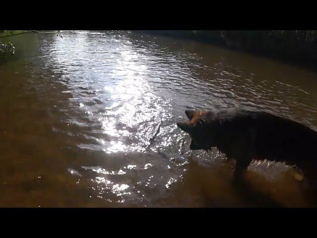 Куда ведут все дороги из Рима. смотреть онлайн