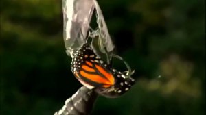 Фильм «Внутренние миры, внешние миры» 2012 ^-^ смотреть в любое время всем до конца