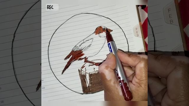 Little Bird Drawing #lifestyle_0514 #drawing #art смотреть онлайн