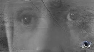 Баллада о матери (минусовка)