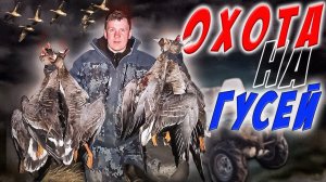 охота на гуся    !!!(архив 2021)