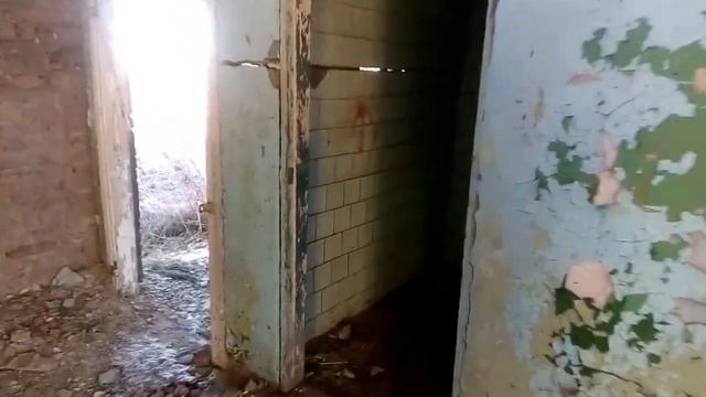 Прогулка по заброшке.Когда хочется копать ,а погода не позволяет смотреть онлайн