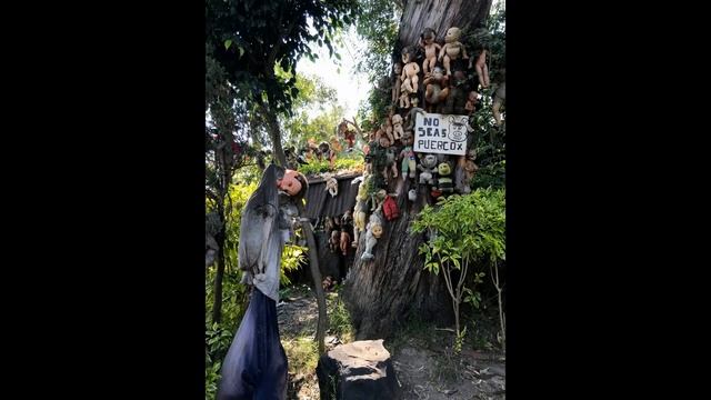 The Island of the Dolls, Xochimilco, Mexico Abandoned Place #32 смотреть онлайн
