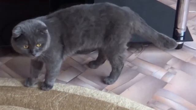 Обзор спасательных жилетов с AliExpress смотреть онлайн