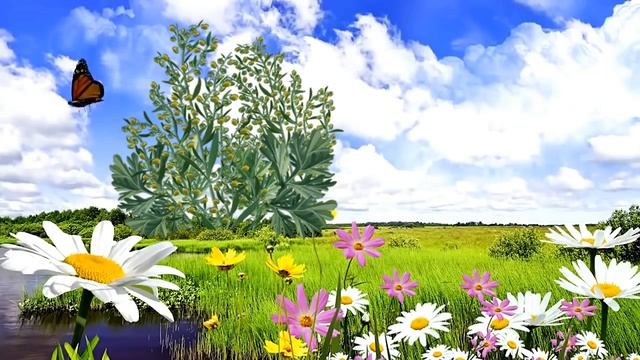 Полынь - что лечит и как использовать смотреть онлайн