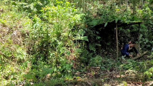 Bad guys track, destroy my shelter, detect and catch poisonous bees, Survive in the forest смотреть онлайн