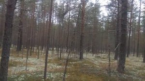 На природе в Коми.