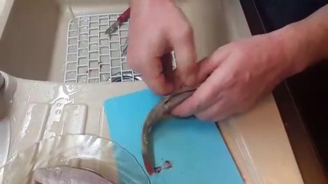 Как быстро почистить окуня смотреть онлайн