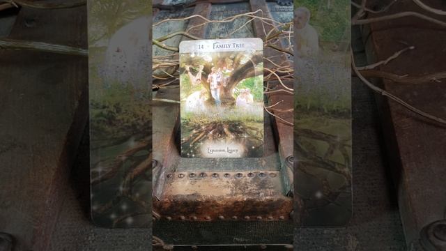 Virgo Sun, Moon, Rising, Or North Node Oracle Card Message Zodiac Signs Card Of The Day смотреть онлайн