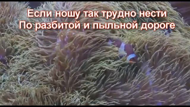 Злом за зло воздавать не спеши квартет «Берники».mp4 смотреть онлайн