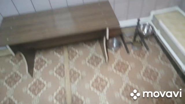 ЖИЗНЬ В ДЕРЕВНЕ /НА ВЕЛА ПОРЯДКИ /СШИЛА НАМОТРАСНИК /СДЕЛАЛА РЕВИЗИЮ В ГАРАЖЕ смотреть онлайн