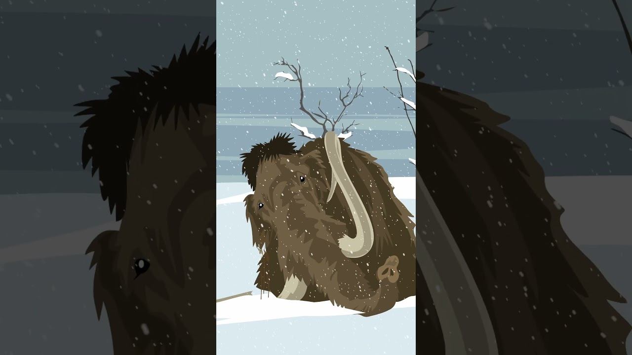 Кто населял Русь #история #комнатныйрыцарь #русь #славяне смотреть онлайн